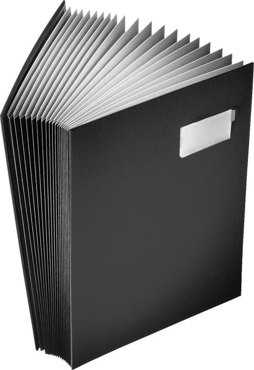Actual product image Leitz Signature folders (A4, 1 x)
