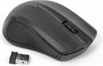 Actual product image Omega OM-419 mouse Ambidextrous RF Wireless Optical 1000 DPI (Wireless)