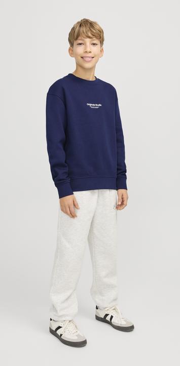Actual product image Jack & Jones Jorvesterbro Sweat Crew Neck Noos Jnr (140)