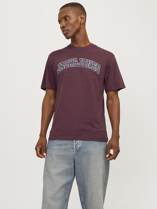 Immagine prodotto Jack & Jones Jjecaleb Varsity Tee Ss O-Neck Noos (M)