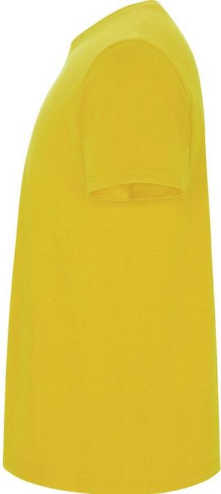 Immagine prodotto Alpinia Stafford Maglietta Uomo (3XL)