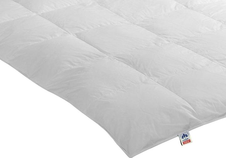 Actual product image Irisette Nora warm down cassette duvet (720 g, 135 x 200 cm)