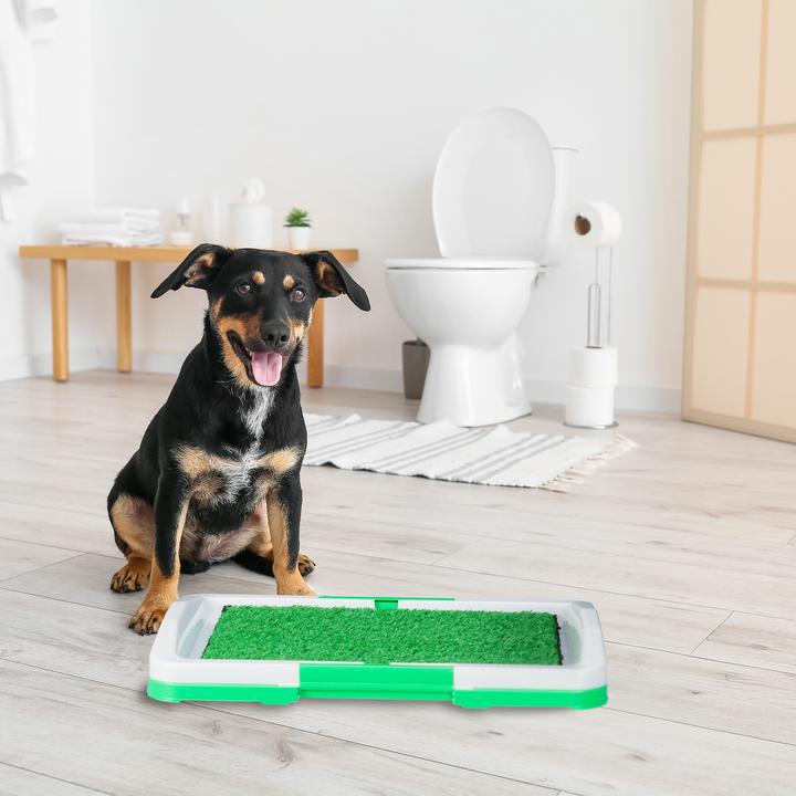 Immagine prodotto Relaxdays Toilette per cani (Cane)