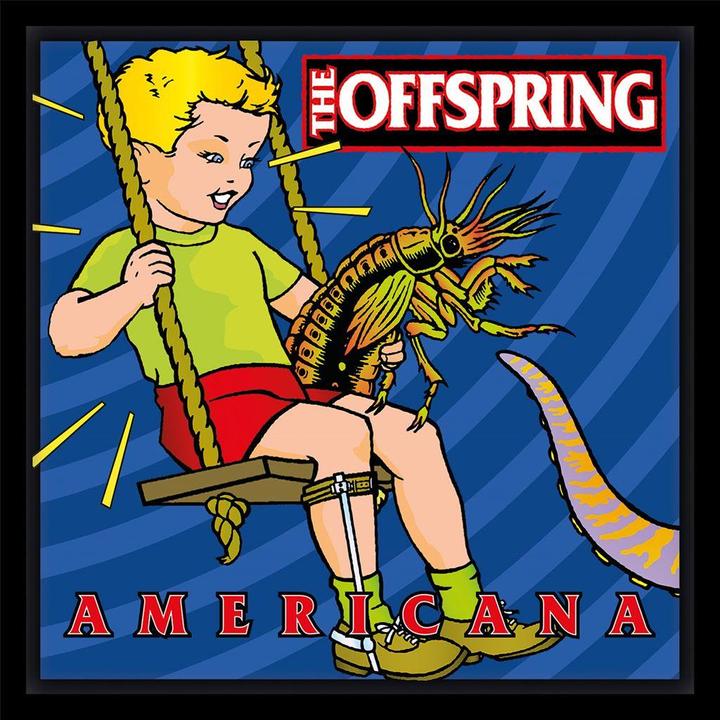 Produktbild The Offspring bedruckt Americana Plattenhülle