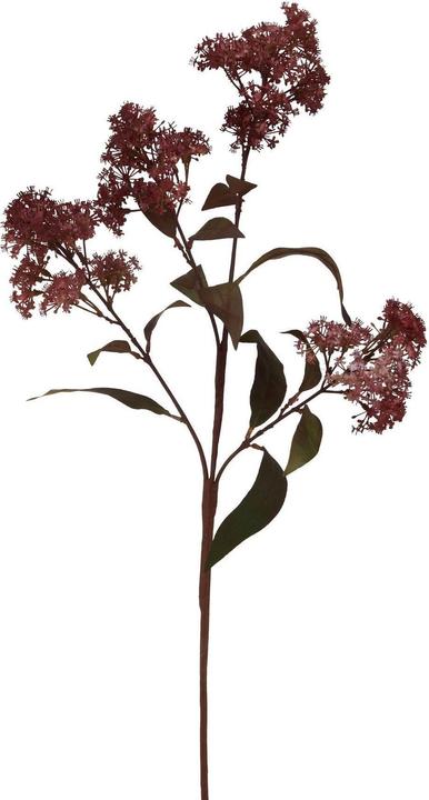 Actual product image Hill Interiors Smokebush Artificial Flower (79 cm)