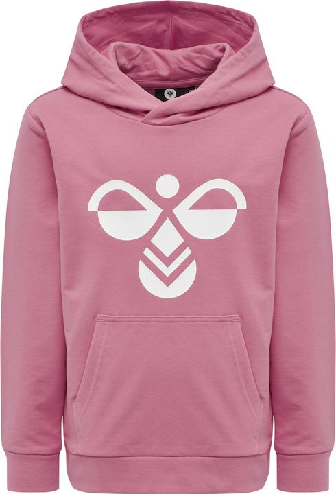 Immagine prodotto hummel Cuatro Hoodie (128)