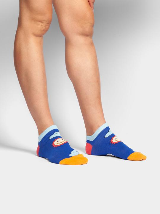 DillySocks Short Weather Forecast (41 - 46)