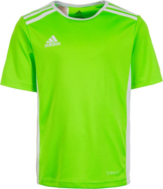 Image du produit adidas Maillot de football Entrada 18 enfants (128)