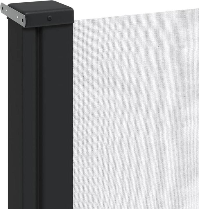 Actual product image VidaXL Extendable side awning (1.60 m)