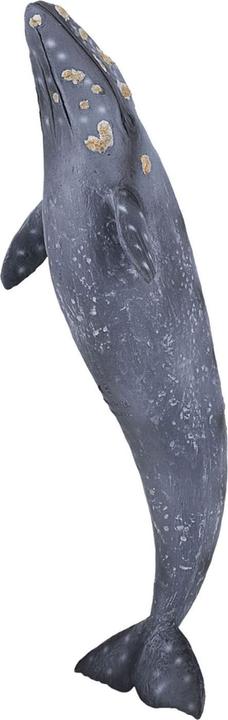 Actual product image Animal Planet Grey whale