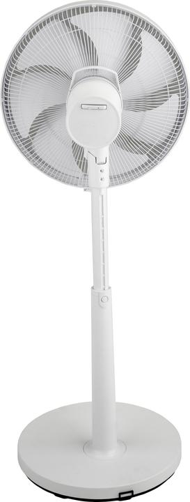 Produktbild Argo Tisch bodenventilator 61 db (61 dB)