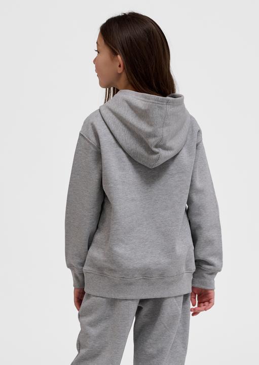 Image du produit hummel hmlCLEAN HOODIE (104)