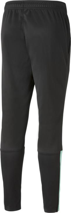 Actual product image Puma teamLIGA Training Pants (XL)