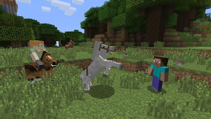 Produktbild Nintendo Minecraft (Switch, FR)