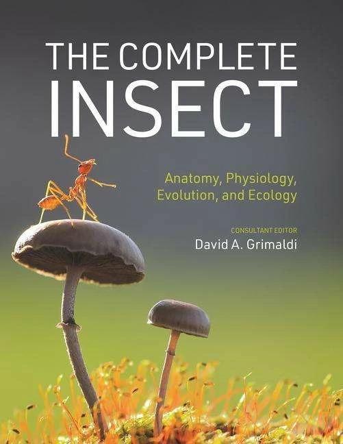Produktbild The Complete Insect (Englisch, David A. Grimaldi, 2023)