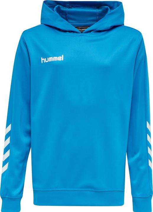 Image du produit hummel Promo Kids Poly Hoodie (164)