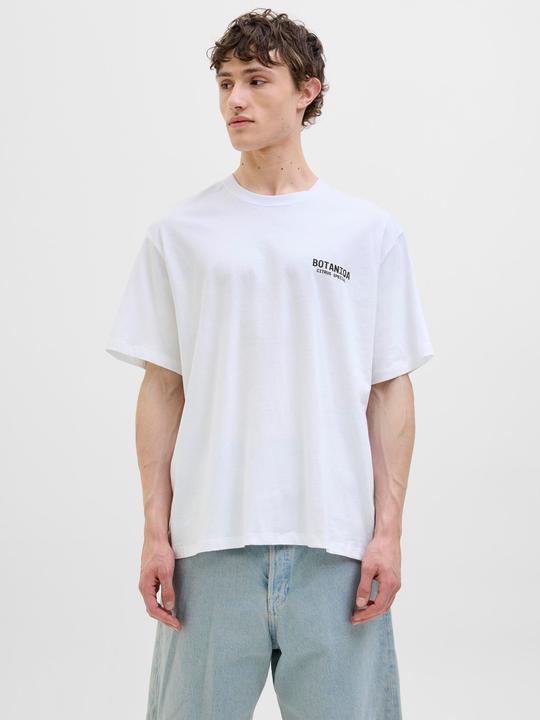 Produktbild Jack & Jones Jorbotaniq Tee Ss Crew Neck Tg Ln (XL)