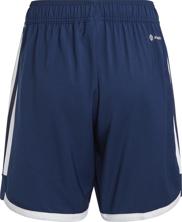 Actual product image adidas Tiro 23 Competition Match training shorts kids (116)
