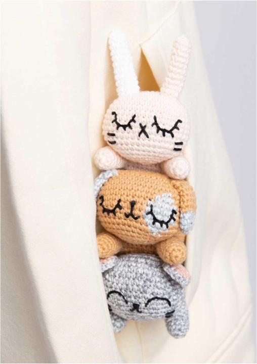 Produktbild Rico Design Ricorumi Pocket Pals (Deutsch, Rico Design)