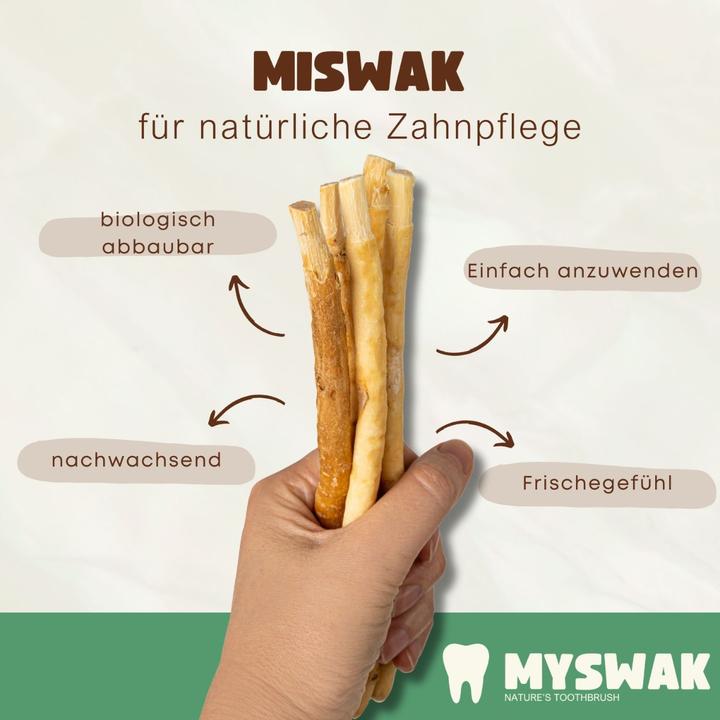 Image du produit Miswak Bois de dentiste (6 x)