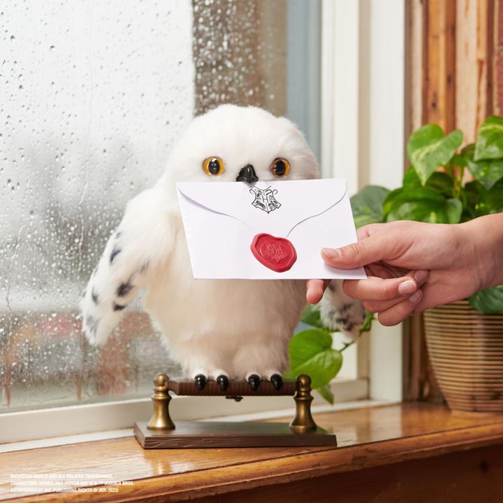 Image du produit Spin Master Hedwig l'enchanteur (30.48 cm)