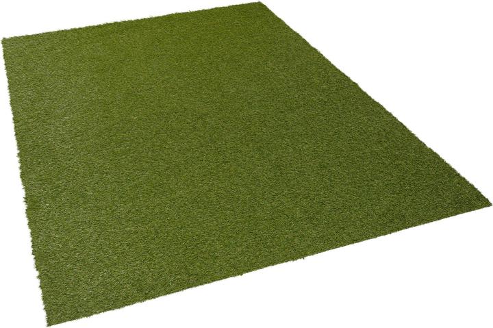 Image du produit Snapstyle Gazon artificiel de luxe Tapis de pelouse Chelsea (100 x 200 cm)