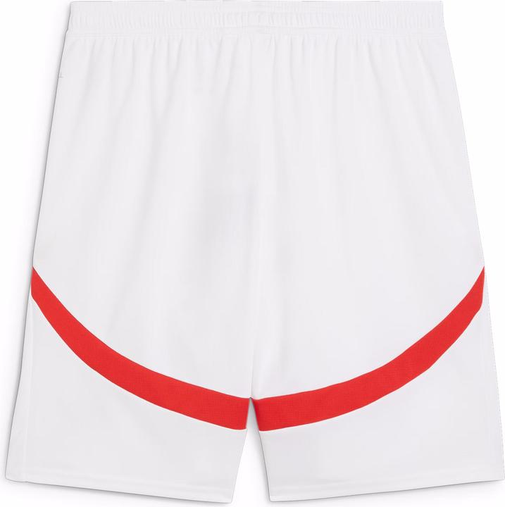 Puma RBL Shorts Replica