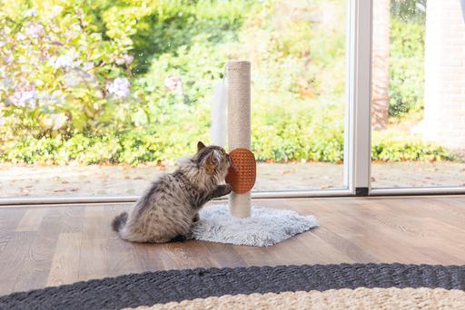 Immagine prodotto Beeztees Pflegehandschuh (Gatto)