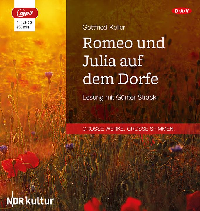 Produktbild Romeo und Julia auf dem Dorfe (Gottfried Keller, Deutsch)