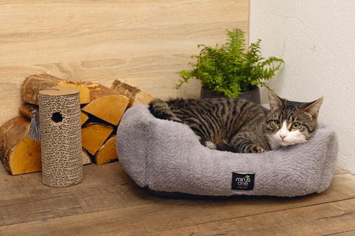 Produktbild Beeztees Nox (Katze)