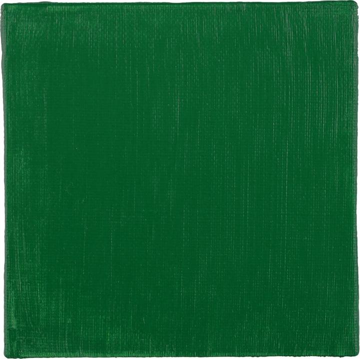 Produktbild Clairefontaine Acrylfarbenkasten (Permanentgrün Hell, 120 ml)
