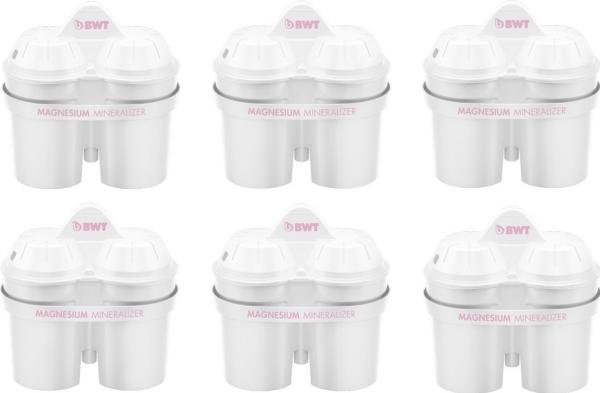 BWT Magnesium Mineralizer (6 x)