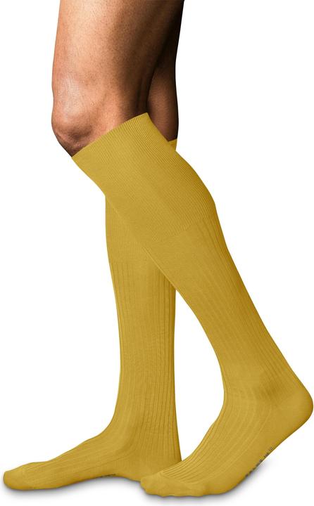 Immagine prodotto Falke N. 10 Pure Fil d'Écosse calze da uomo alte fino al ginocchio (43 - 44)