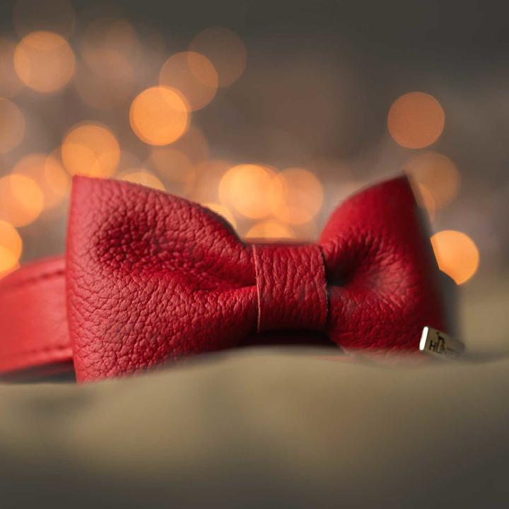 Image du produit Hunter Accessoires pour colliers Noeud papillon Paris, rouge (Chien, Général)