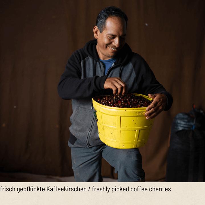 Immagine prodotto Tropical Mountains Caffè in grani Bio (1000 g, Tostatura media)
