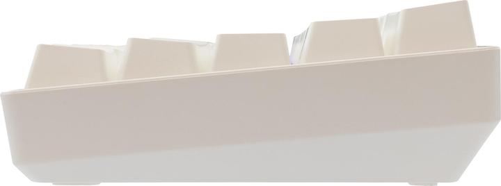Produktbild White Shark GK-004231 Shinobi-2 Brown Switch, White US (US, Kabelgebunden)