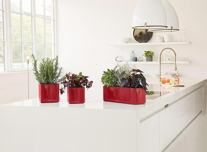 Image du produit Lechuza Cube Glossy 14 (14 cm)