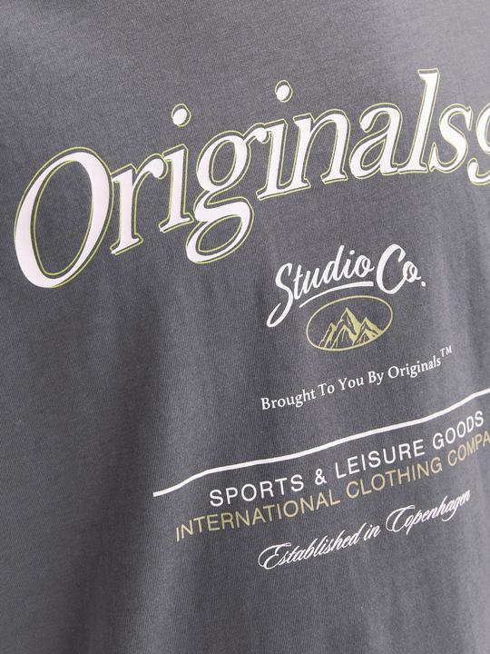 Produktbild Jack & Jones Gedruckt Rundhalsausschnitt T-shirt T-shirt (L)
