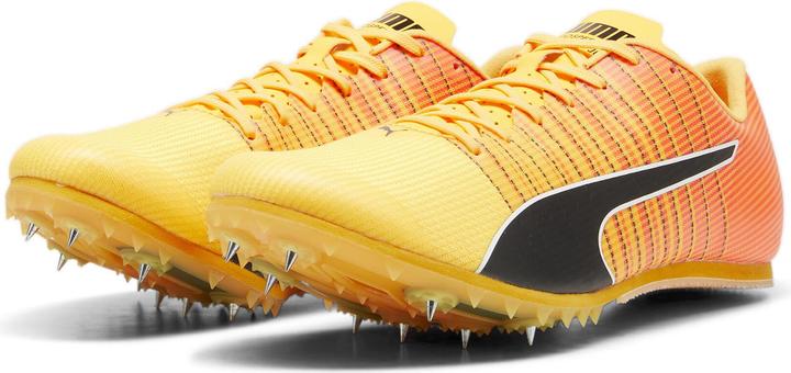 Produktbild Puma evoSPEED FUTURE JUMP 6 (47.5)