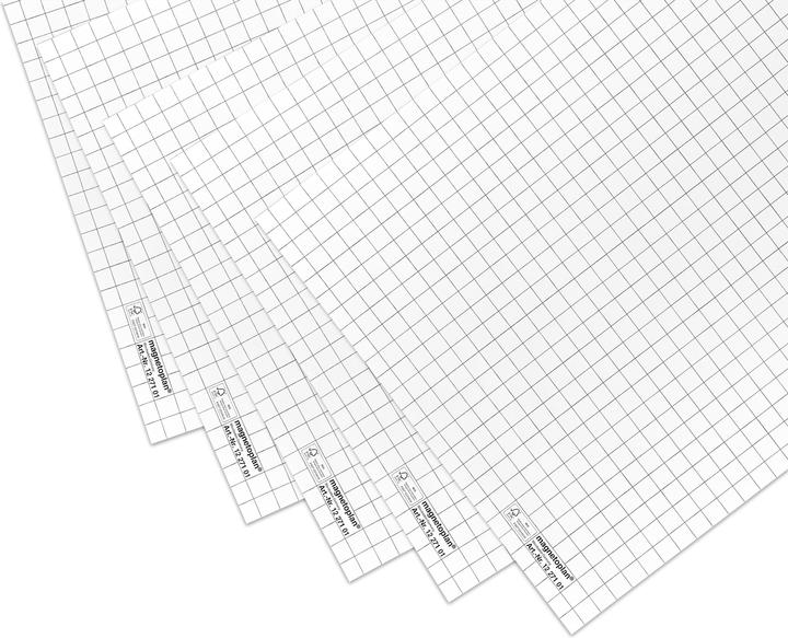 Magnetoplan Tableau à feuilles mobiles 100 feuilles, roulées
