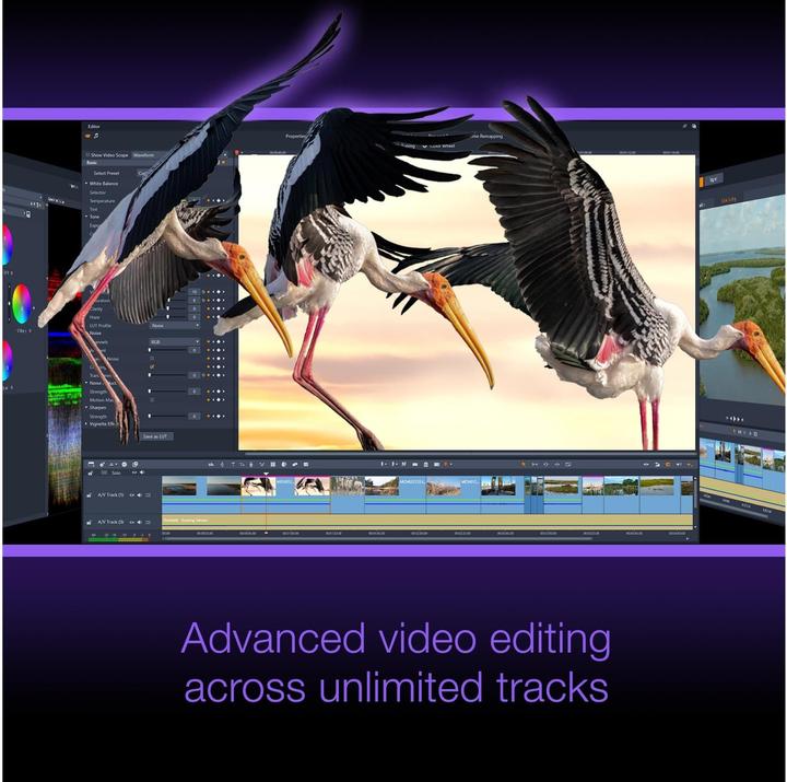 Image du produit Corel Studio 26 Ultimate - Pack de boîtes (1 Utilisateur, Illimité)
