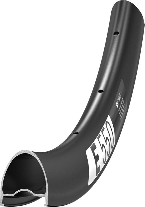 DT Swiss E 550 DB (1.10")