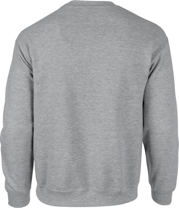 Image du produit Gildan - Sweat - Homme (M)