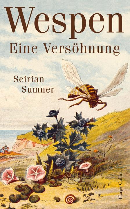 Image du produit Wespen – Eine Versöhnung (Allemand, Andrea Schmittmann, Seirian Sumner, 2023)