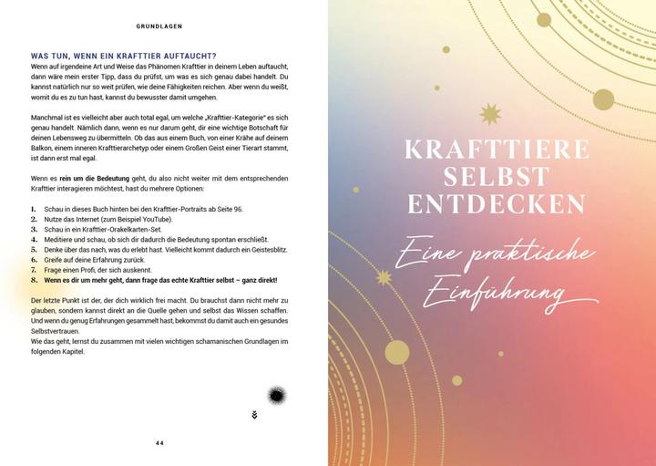 Image du produit Praxisbuch Schamanische Krafttiere – Entdecke deine Seelenbegleiter (Allemand, Benjamin Maier, 2022)