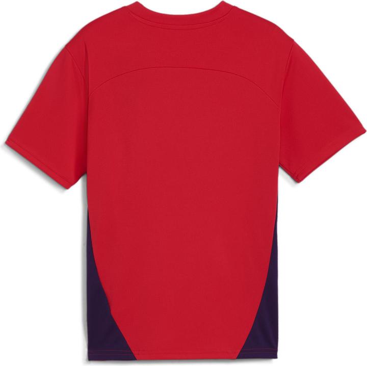 Actual product image Puma RBS Training Jersey Jr (164)