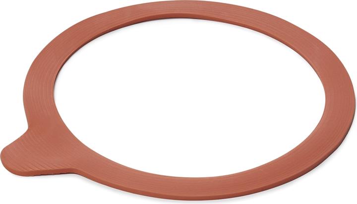 Image du produit Weck Anneaux en caoutchouc (10 pcs, 1 l)