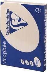 Immagine prodotto Clairefontaine Trophée (120 g/m², 250 x, A4)