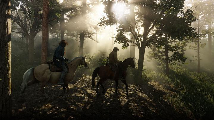 Immagine prodotto 2K Games Red Dead Redemption 2 (PS4, FR)