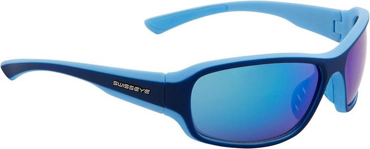 Swiss Eye Occhiali da ciclismo Freeride da uomo (Blu scuro opaco, Fumo)